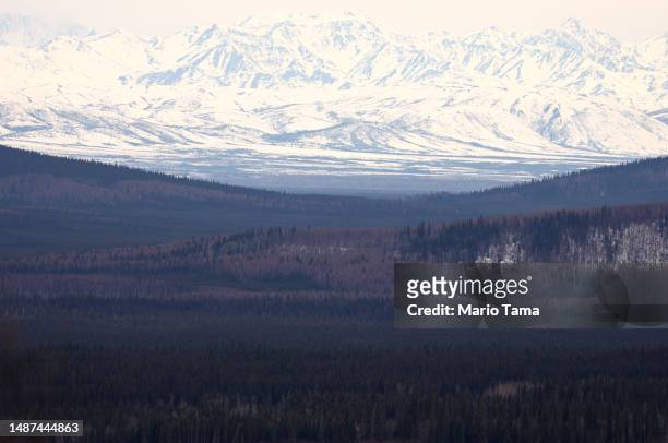 Section of boreal forest stands in front of mountains in the Alaska Range during the melt season on May 3, 2023 near Delta Junction, Alaska. The NASA...