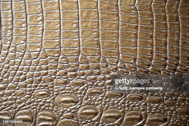 full frame shot of crocodile brown leather - mottled skin stock pictures, royalty-free photos & images