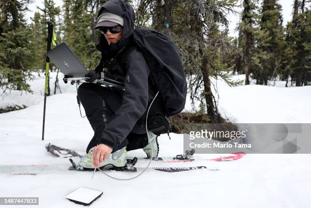 SnowEx researcher Dr. Kelly Gleason works on skis during field testing for snow albedo in a section of boreal forest during the melt season on May 3,...