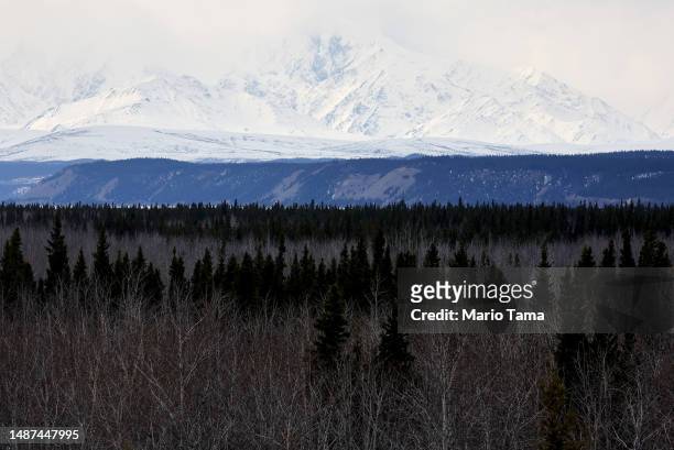 Section of boreal forest stands in front of mountains in the Alaska Range during the melt season on May 3, 2023 near Delta Junction, Alaska. The NASA...
