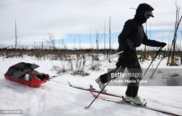 SnowEx researcher Dr. Kelly Gleason hauls science equipment on skis, after collecting snow samples in a section of old burned boreal forest during...