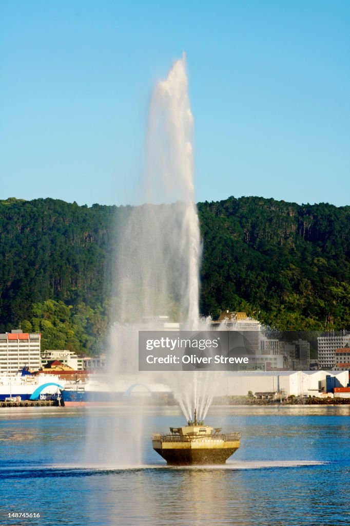 Fountain in Oriental Bay.