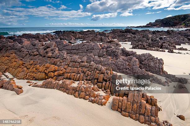 stokes bay. - australia kangaroo island stock-fotos und bilder