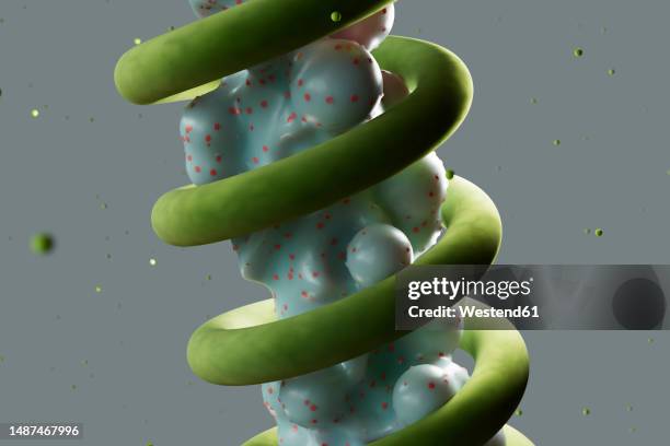 three dimensional render of abstract object inside spiral - two objects abstract stock illustrations