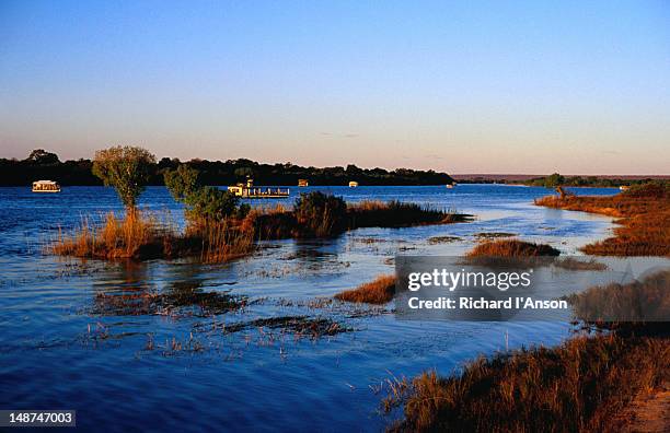 cruise boats on the zambezi river - zambezi river stock pictures, royalty-free photos & images