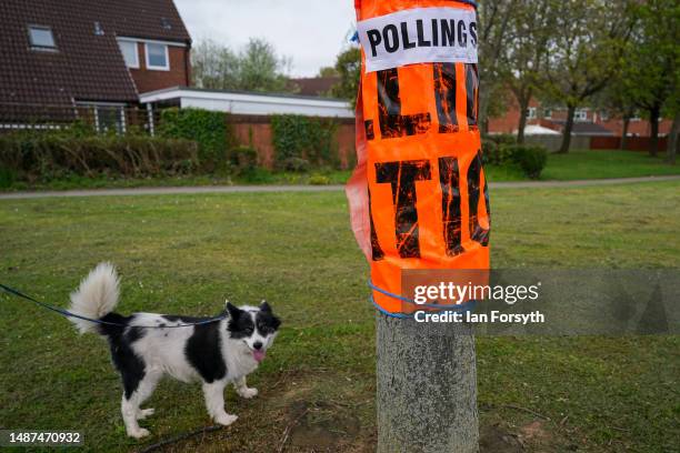 Dog walks past a polling station sign as people go to the polls in the local elections on May 04, 2023 in Middlesbrough, England. This year’s local...