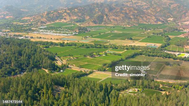 scenic view of agricultural field - napa county stock pictures, royalty-free photos & images