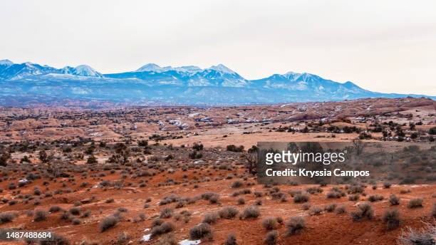 landscape of petrified dunes at arches national park in utah. - moab utah stock pictures, royalty-free photos & images