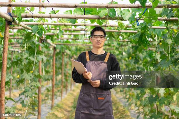 frontal portrait of young farmer at the farm - obverse side stock pictures, royalty-free photos & images