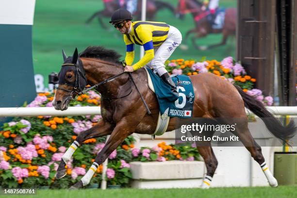Jockey Zac Purton riding Prognosis during the Race 8 FWD Queen Elizabeth II Cup at Sha Tin Racecourse on April 30, 2023 in Hong Kong.