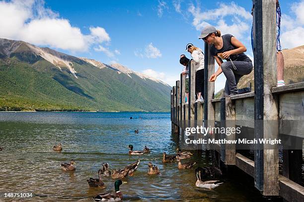 lake rotoiti is lake in the tasman region of new zealand. it is a mountain lake within in the nelson lakes national park. some people feeding the ducks off the side of the pier - nelson lakes national park stock pictures, royalty-free photos & images