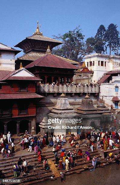 pashupatinath temple, nepal's most important hindu temple, stands on the banks of the bagmati river. - pashupatinath stock-fotos und bilder