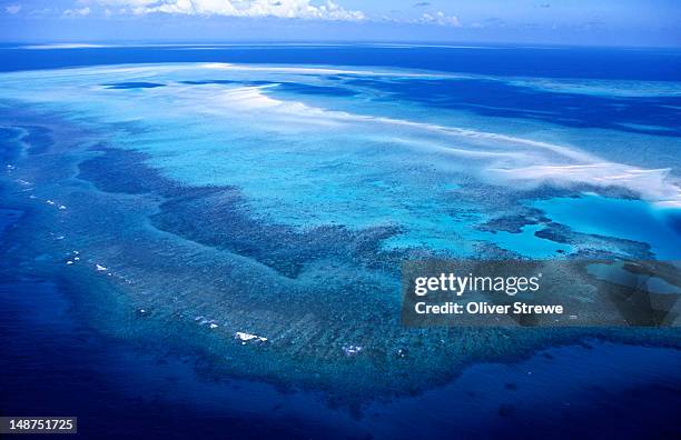 coral reef in far north queensland (fnq). - north queensland stock pictures, royalty-free photos & images