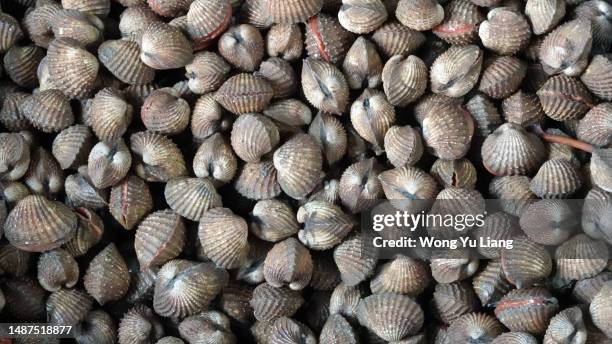 Cockles Photos and Premium High Res Pictures - Getty Images