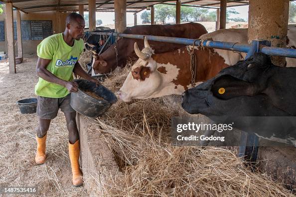 At La Laiterie du Berger's school farm