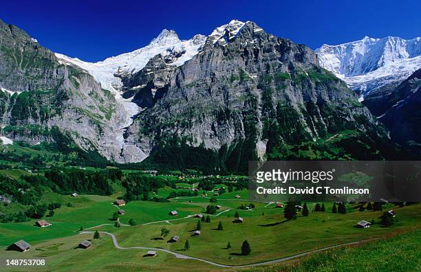 view to the schreckhorn and upper grindelwald glacier, bort. - grindelwald stock pictures, royalty-free photos & images