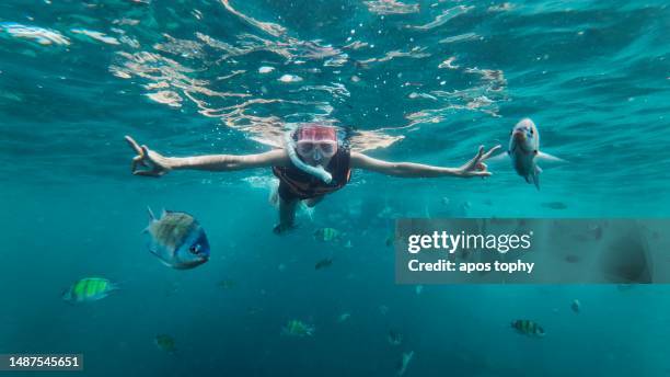 a woman in pink hair snorkeling. - coral sea stock-fotos und bilder