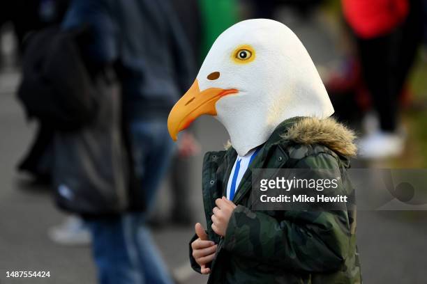 Fan wearing a seagull hat is seen prior to the Premier League match between Brighton & Hove Albion and Manchester United at American Express...