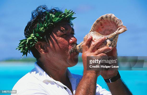 man blowing conch shell. - isole cook foto e immagini stock