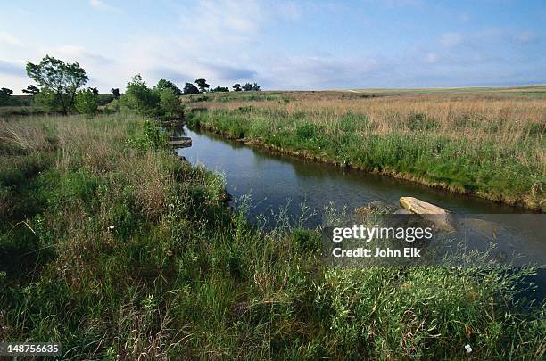 Prairie Streams And Rivers Prairie Creek Photos and Premium High Res Pictures - Getty Images