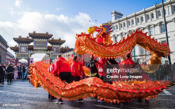 Dragon curling up during the Dragon Dance in front of the Paifang during the Chinese New Year celebrations in Liverpool's Chinatown district.