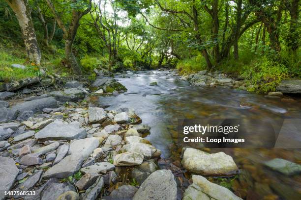 The River Heddon in summer in the Exmoor National Park.