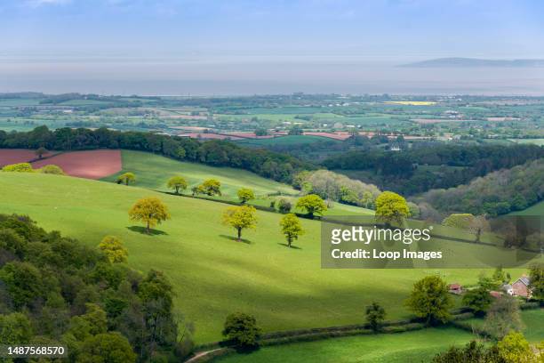 The view north from Cothelstone Hill in the Quantock Hills towards the Bristol Channel in spring.