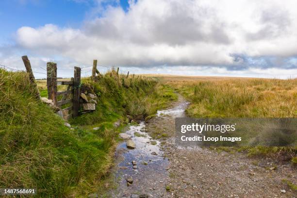 The Tarka Trail path running alongside a barbed wire fenced earth bank on the south side of The Chains in Exmoor National Park.