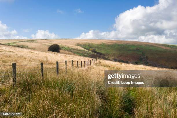 Barbed wire fence along the Devon and Somerset boarder on the north side of The Chains in the Exmoor National Park.