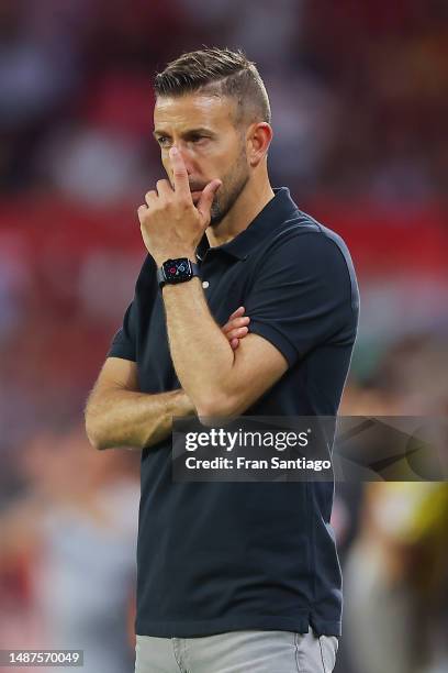 Luis Garcia, Head Coach of RCD Espanyol, looks on prior to the LaLiga Santander match between Sevilla FC and RCD Espanyol at Estadio Ramon Sanchez...