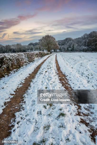 Tracks through snow in a field near Trellechm in South Wales.