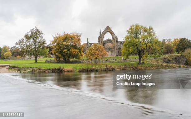 Overlooking the fast moving River Wharfe towards Bolton Abbey in Yorkshire.