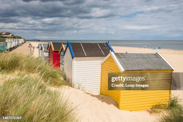 Colourful beach huts pictured behind dune grass at the end of the promenade at Southwold beach on the Suffolk coast.