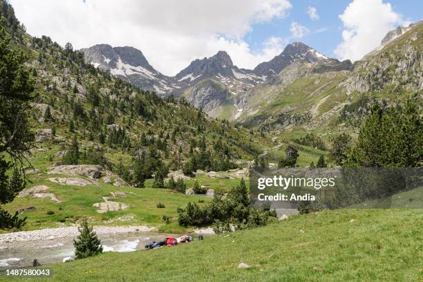 Hautes-Pyrenees department : landscape and mountain stream gave du Marcadau at the bottom of the Wallon Refuge, in the Marcadau, Valley, at an...
