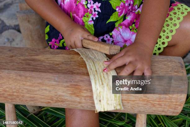 French Polynesia, Marquesas Islands, Ua Pou: young girl making a tapa cloth, a barkcloth made from the inner bark of paper mulberry or breadfruit...