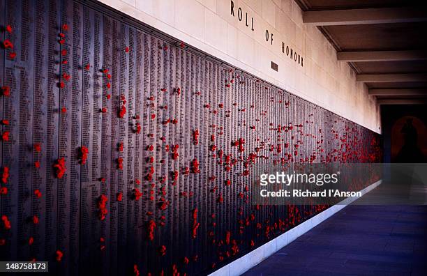 poppies placed on roll of honour at australian war memorial. - conmemorativo de guerra fotografías e imágenes de stock