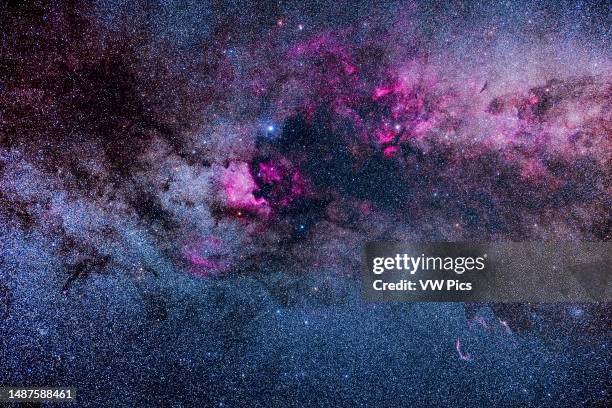 Framing of the major areas of bright and dark nebulosity in Cygnus, showing pink emission nebulas contrasting with dark dusty regions in the Cygnus...