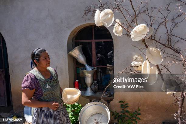 Candle maker collects thin bees wax forms bleached by the sun to use in making candles in Teotitlan del Valle, Oacaca, Mexico. These thin forms will...