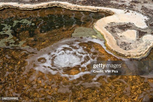 This bubbling mineral water spring is one of the sources of water that formed the Cascada Chica or Small Waterfall at Hierve el Agua, near Mitla,...