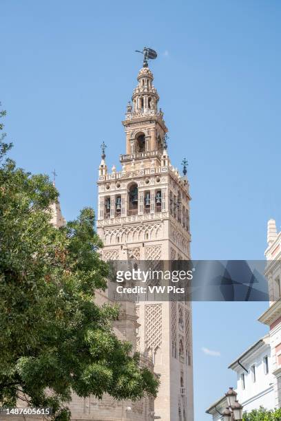 Catedral de Sevilla in Seville, Spain.
