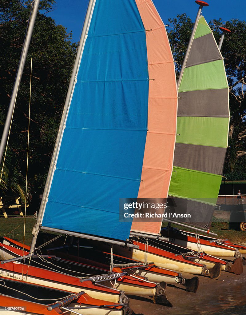 Catamarans for hire on the banks of the Noosa River - Noosa, Queensland