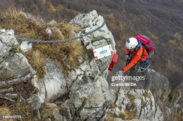Pertus Ralefatane 85 Pertus Stock Photos, High-Res Pictures, and Images - Getty Images