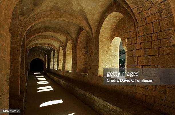 cloister of the abbey church, st guilhem-le-desert. - abbey bildbanksfoton och bilder