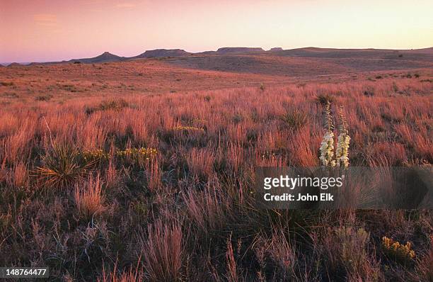 sunset over antelope hills. - oklahoma stock pictures, royalty-free photos & images
