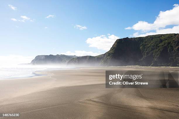 karekare beach. - neuseeland stock-fotos und bilder