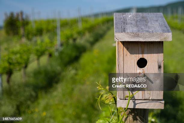 Nest houses in an organic farming countryside in Val Pantena near Grezzana, Veneto, Italy, Europe.