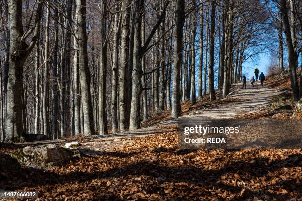Lessinia Autumn Lessini Mountains Photos and Premium High Res Pictures - Getty Images
