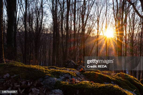 Lessinia Autumn Lessini Mountains Photos and Premium High Res Pictures - Getty Images
