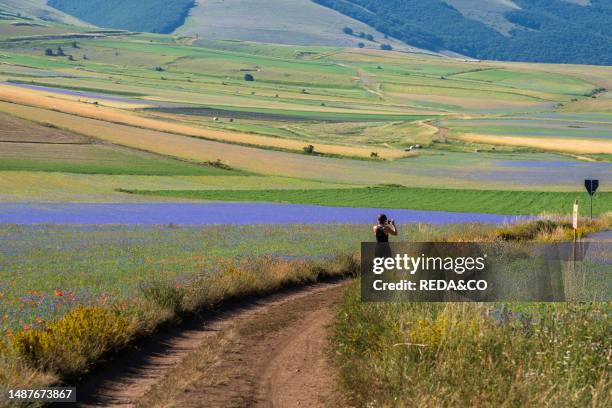 Sibillini. Mountains. National. Park. Summer. Flowering. Landscape. People. Horizontal. Castelluccio Di Norcia. Umbria. Italy. Nature..