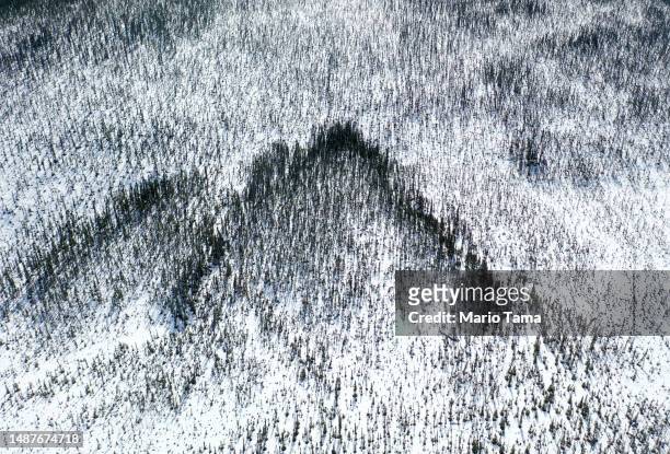 An aerial view of a section of boreal forest during the snowmelt season on May 4, 2023 near Fairbanks, Alaska. The NASA SnowEx campaign is currently...
